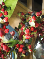 Raspberry and blackberry stem