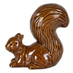 Bucky nutty squirrel