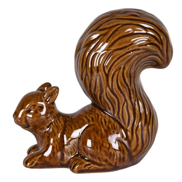 Bucky nutty squirrel