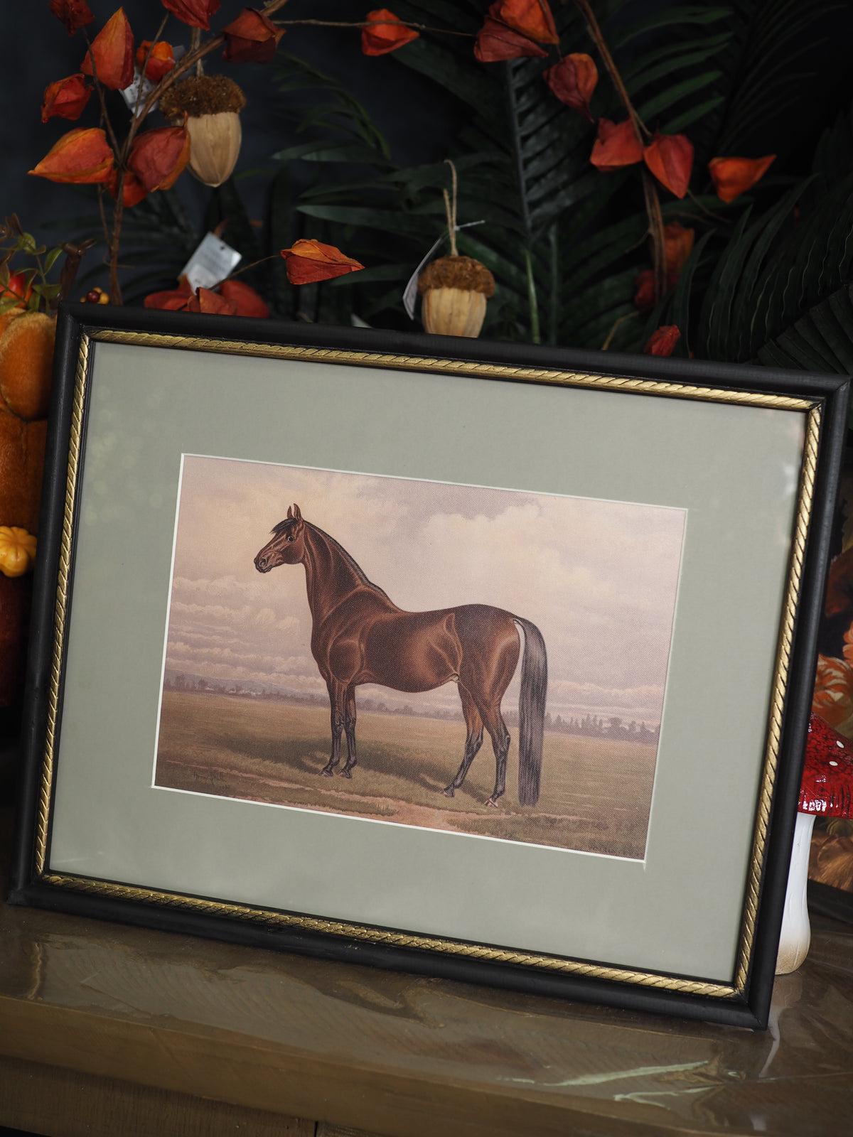 Stallion beauty framed print
