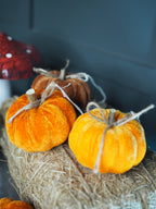 Small orange and brown velvet pumpkins
