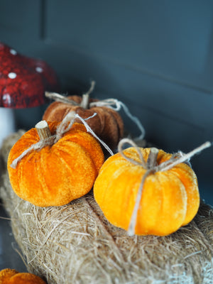 Small orange and brown velvet pumpkins