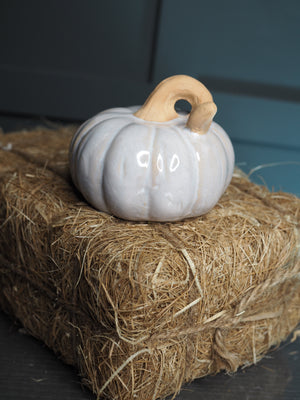 Cream glossy pumpkin