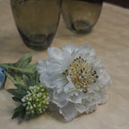 White Scabiossa Spray