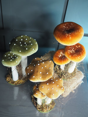 Tall Toadstool family