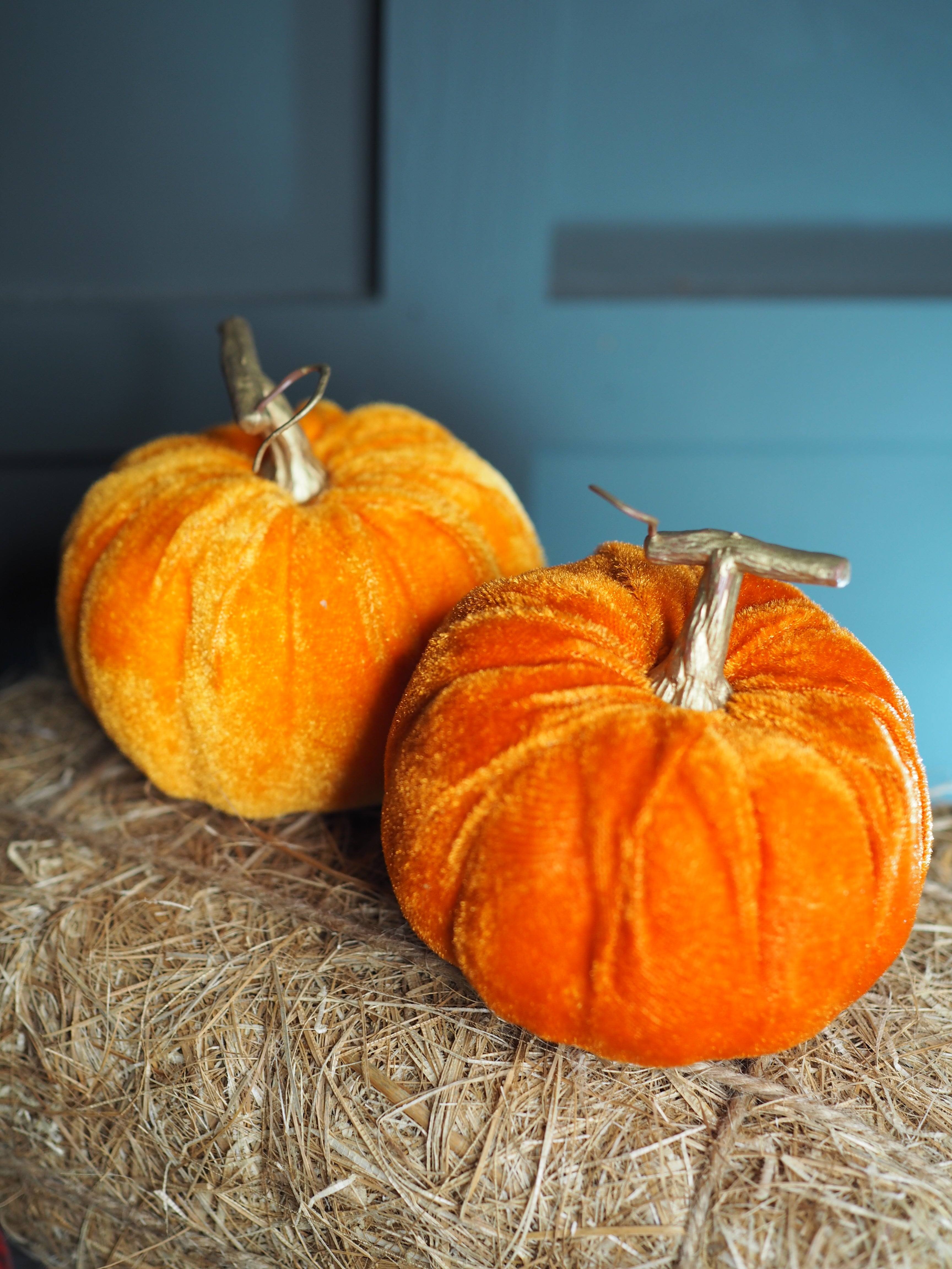 Velvet pumpkins (9cm)
