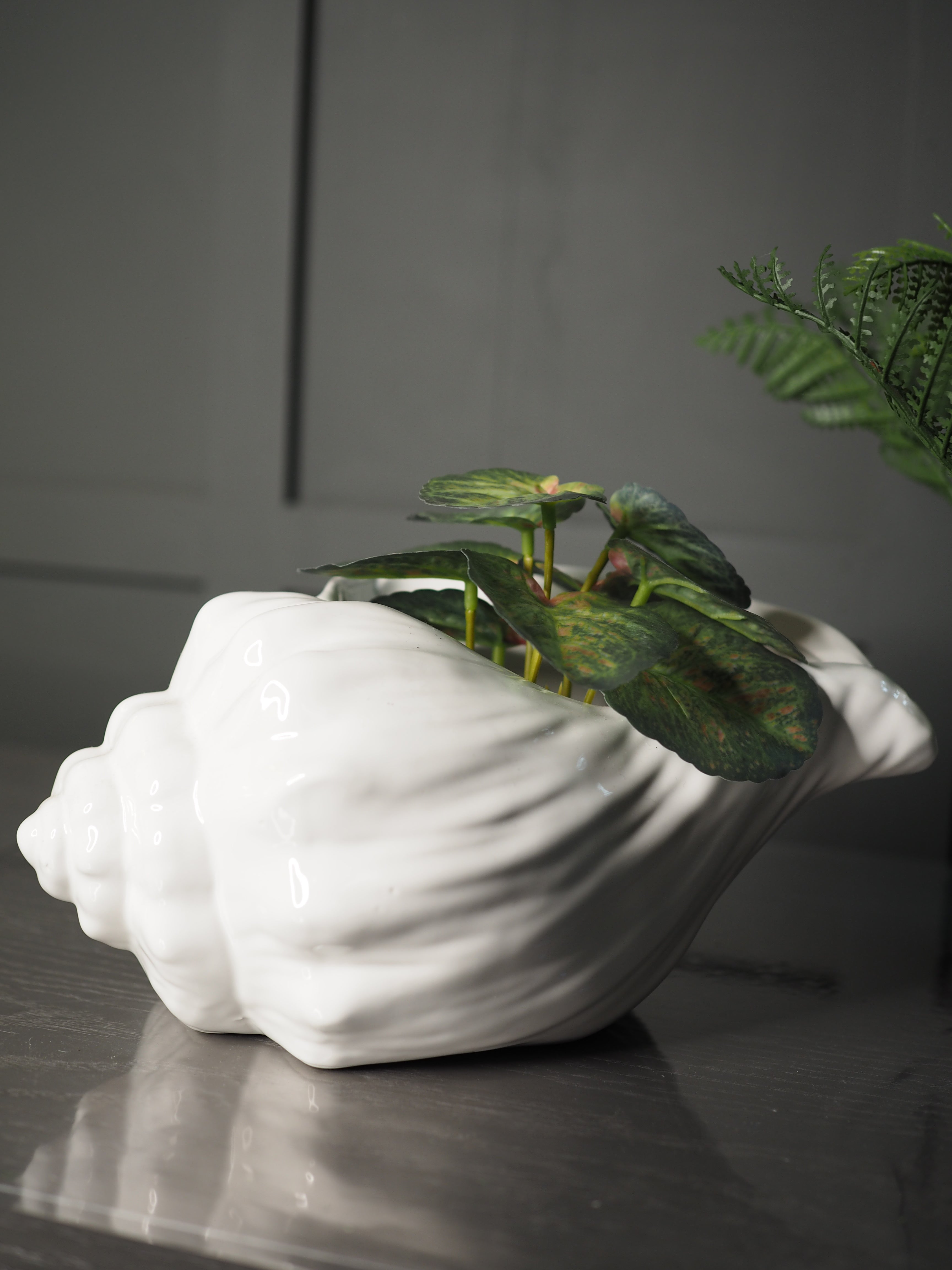 White Sea shell shaped planter