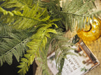 Potted faux fern