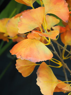 Orange gingko branch