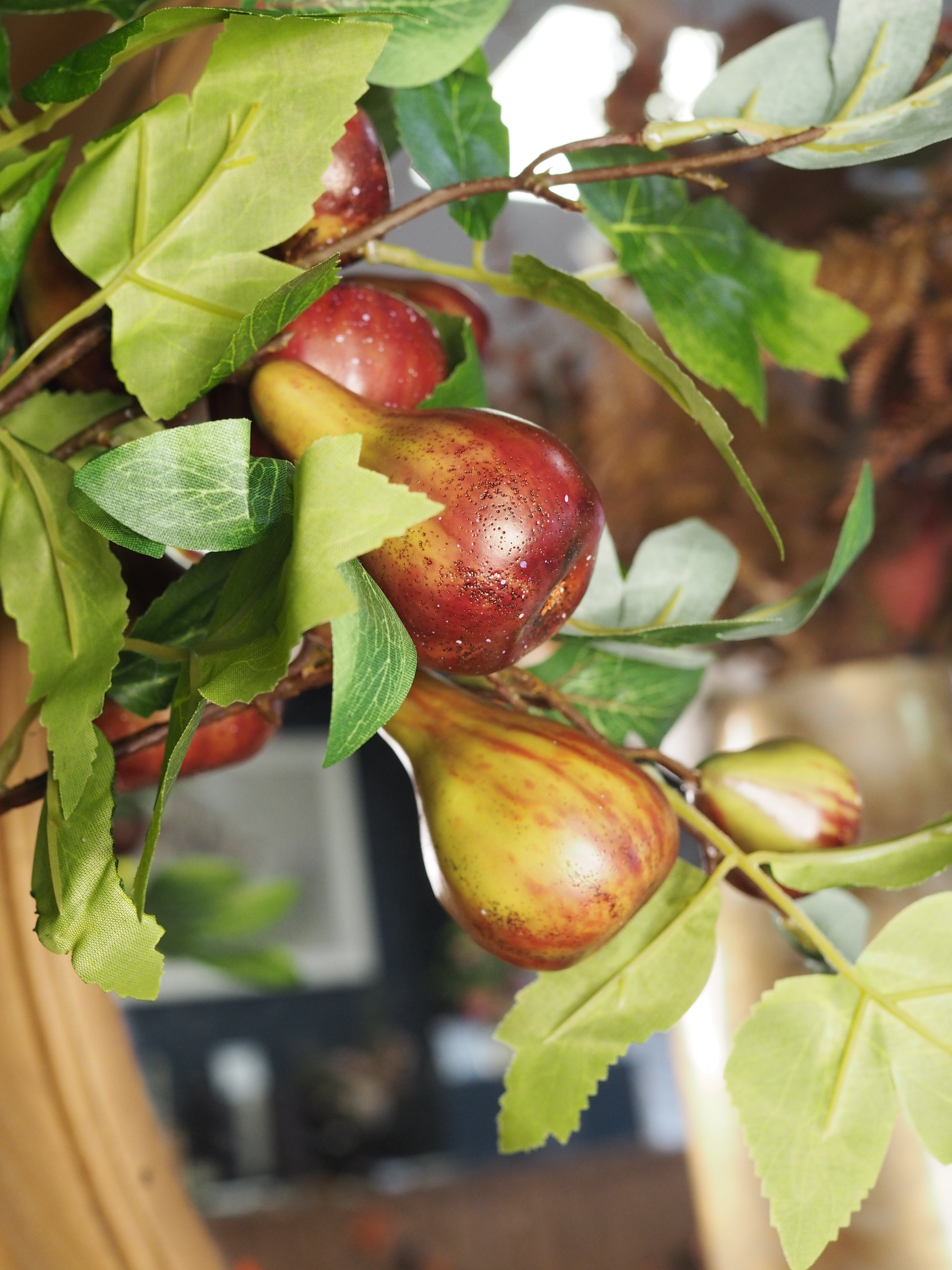 Fig Branch