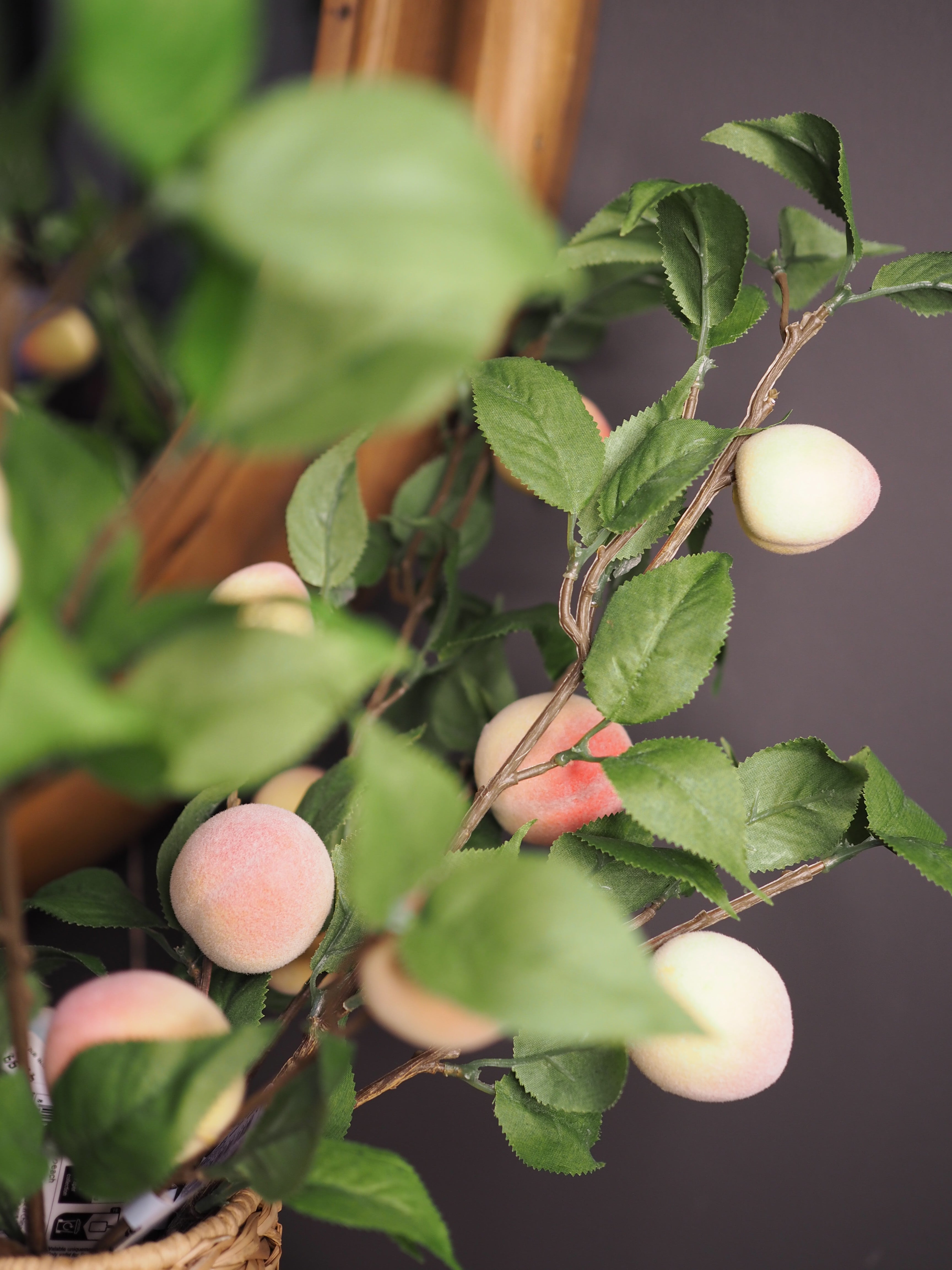 Peach on stem spray with leaves