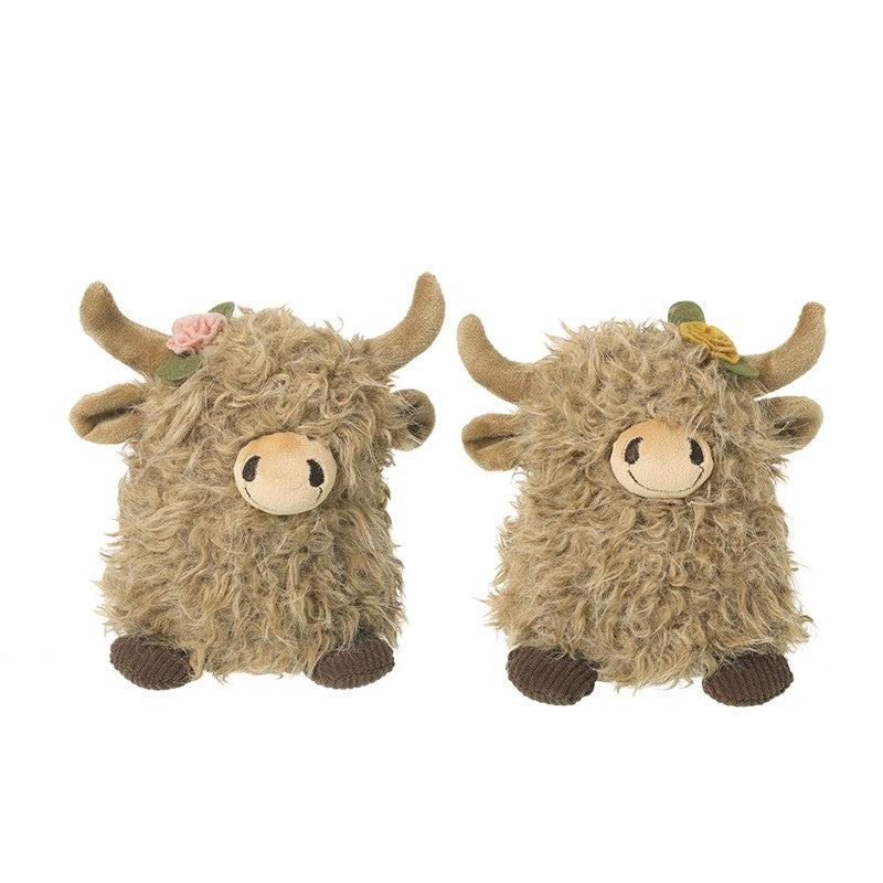 Fluffy Highland cows
