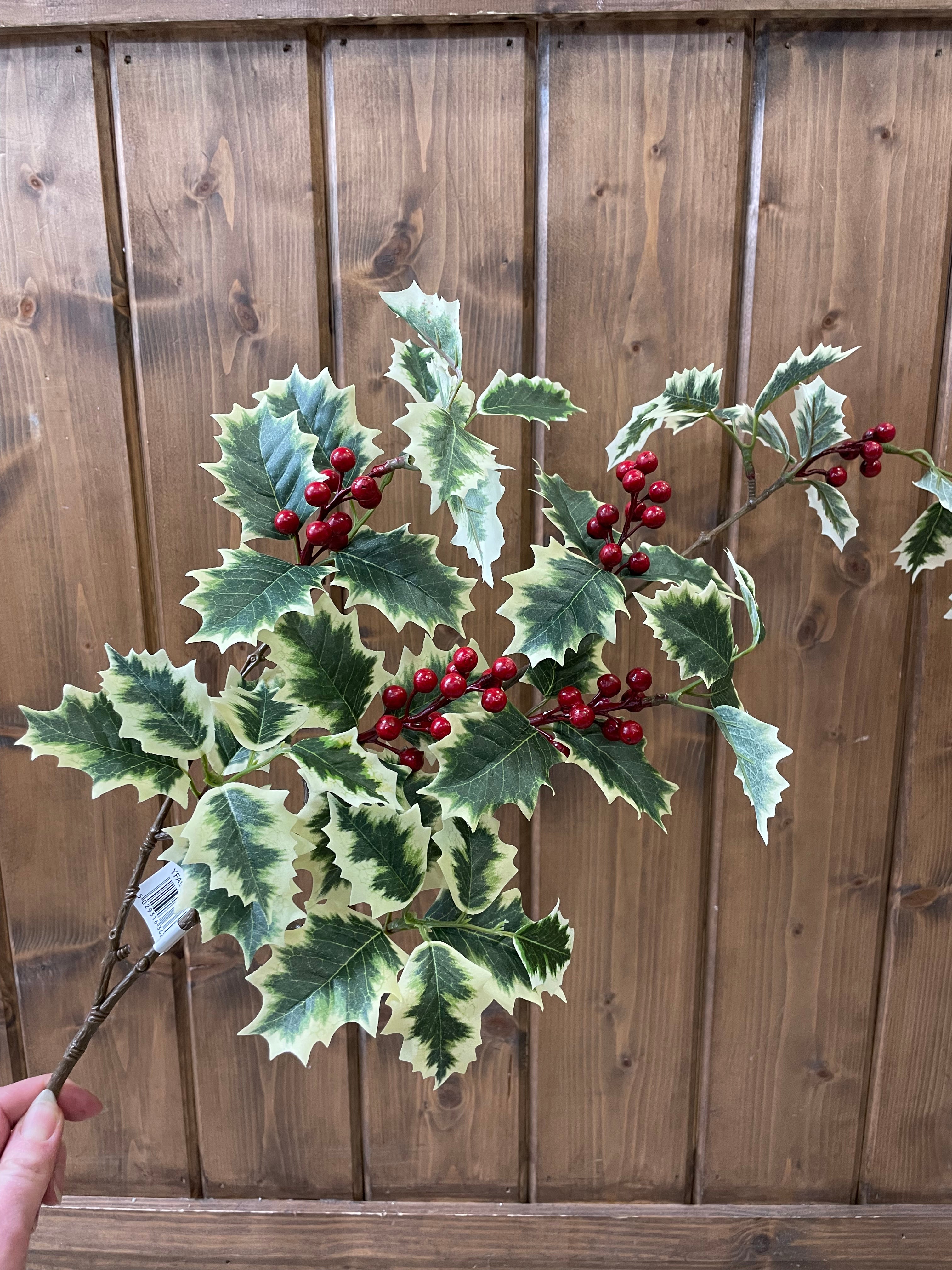 Variegated holly leaf spray