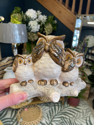 Speak, hear and see no evil owl family