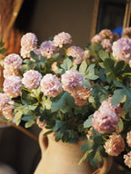 Mauve lilac snowball tree branch
