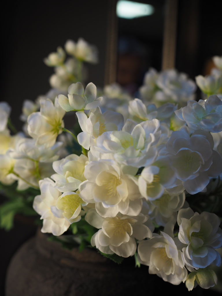 White bellflower blossom