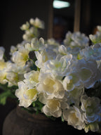 White bellflower blossom