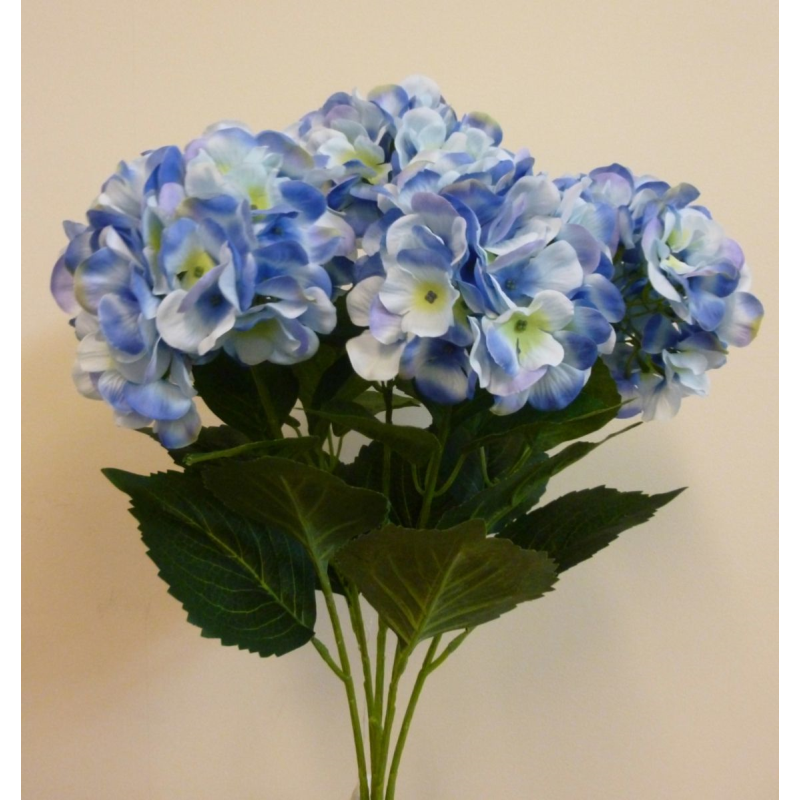 Blue 4-head hydrangea stem