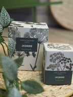Jasmine scented candle (Large) - Spring Hedgerow