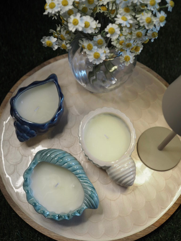 Citronella outdoor candle wax