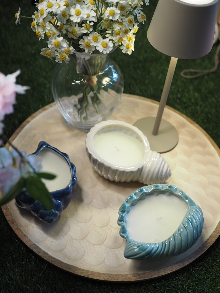 Citronella outdoor candle wax