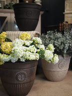 Elizabeth heritage style planter