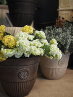 Elizabeth heritage style planter