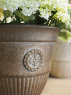 Elizabeth heritage style planter