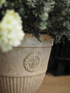 Elizabeth heritage style planter