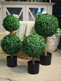UV proof boxwood stack potted plant
