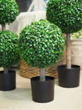 Boxwood faux potted plant