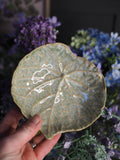Green speckle round leaf trinket dish