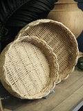 Round scalloped rim paper trays