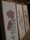 Set of 3 floral embroidery framed canvases