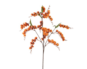 Tall orange lantern spray