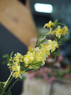 63cm Lilac Spray - Yellow