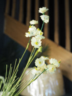 Yellow miniature rose spray