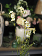 Yellow miniature rose spray
