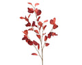 Tall Autumn red stem