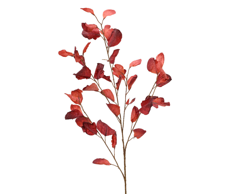 Tall Autumn red stem