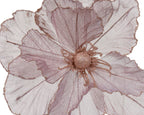 Poppy flower clips