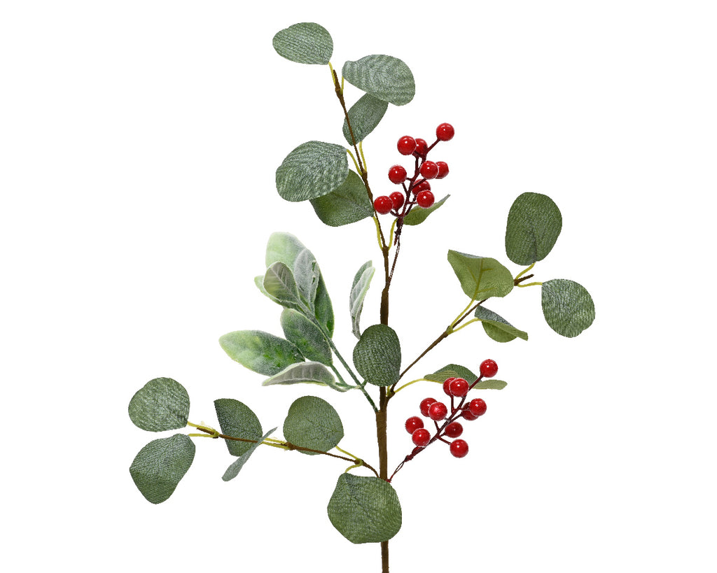 Elegant red berry and eucalyptus stem