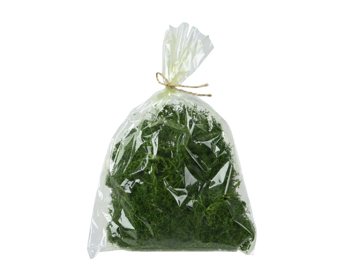 Bag of moss