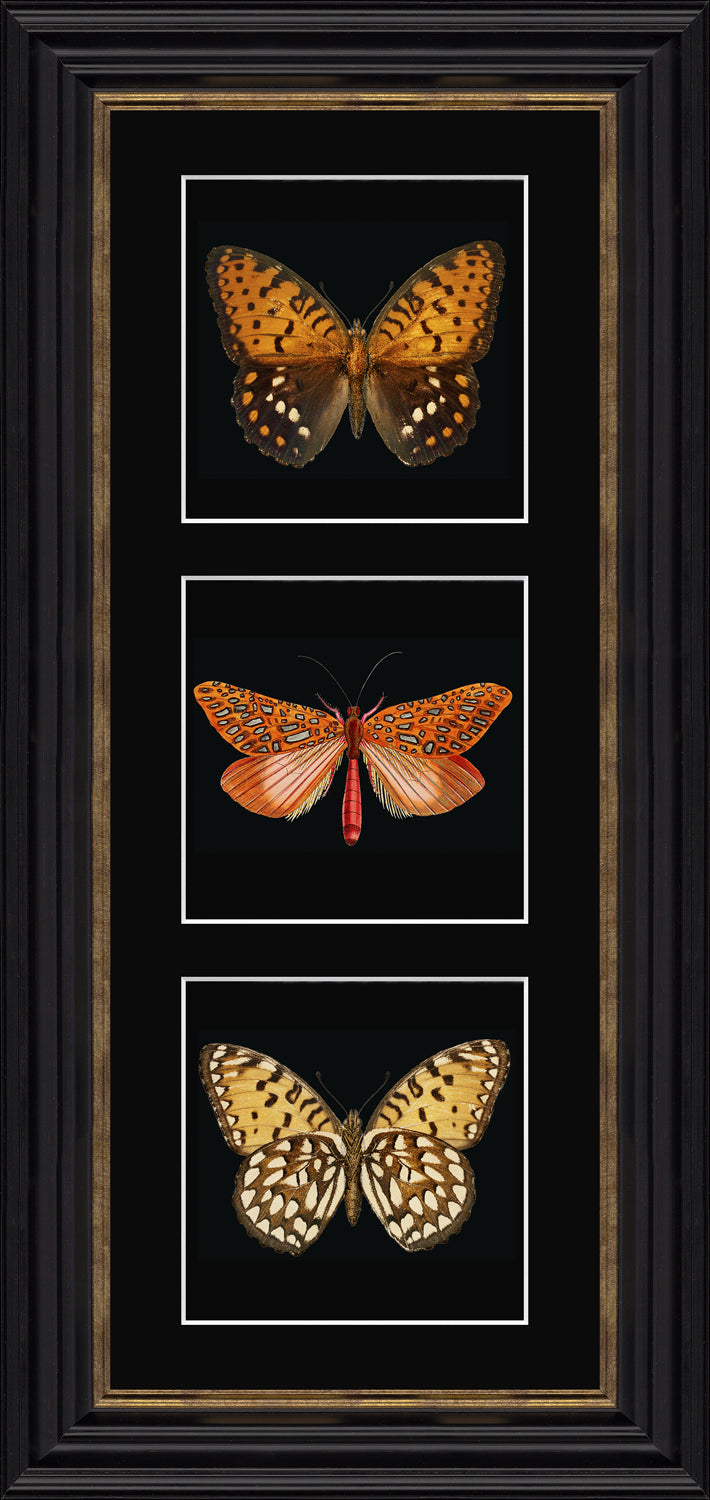 Orange Butterflies framed print