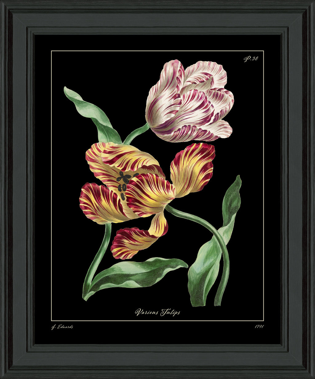 Tulips framed print
