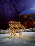 141cm multi action lit rustic willow doe and fawn with 250 lights