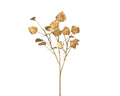 Gold physalis spray