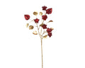Red & gold physalis spray