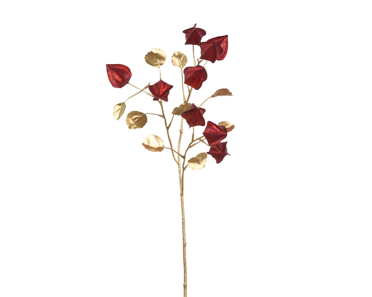Red & gold physalis spray
