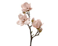 Champagne glittered magnolia spray